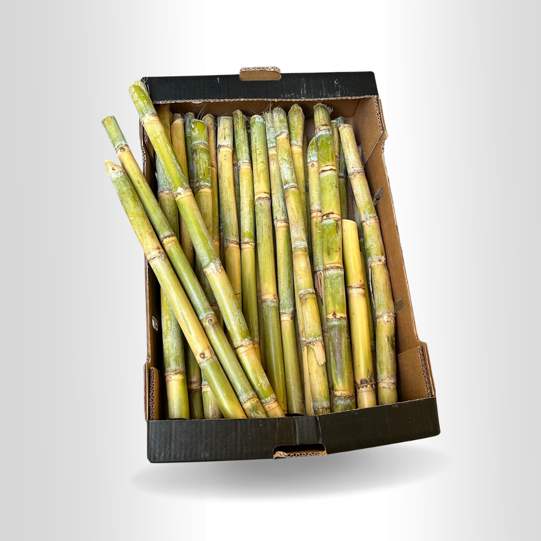 Cana-de-Açúcar Fresca – Tipo Brasileiro (20kg por Caixa)
