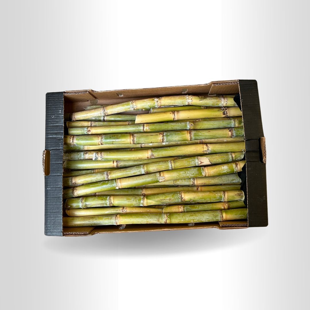 Cana-de-Açúcar Fresca – Tipo Brasileiro (10kg por Caixa)